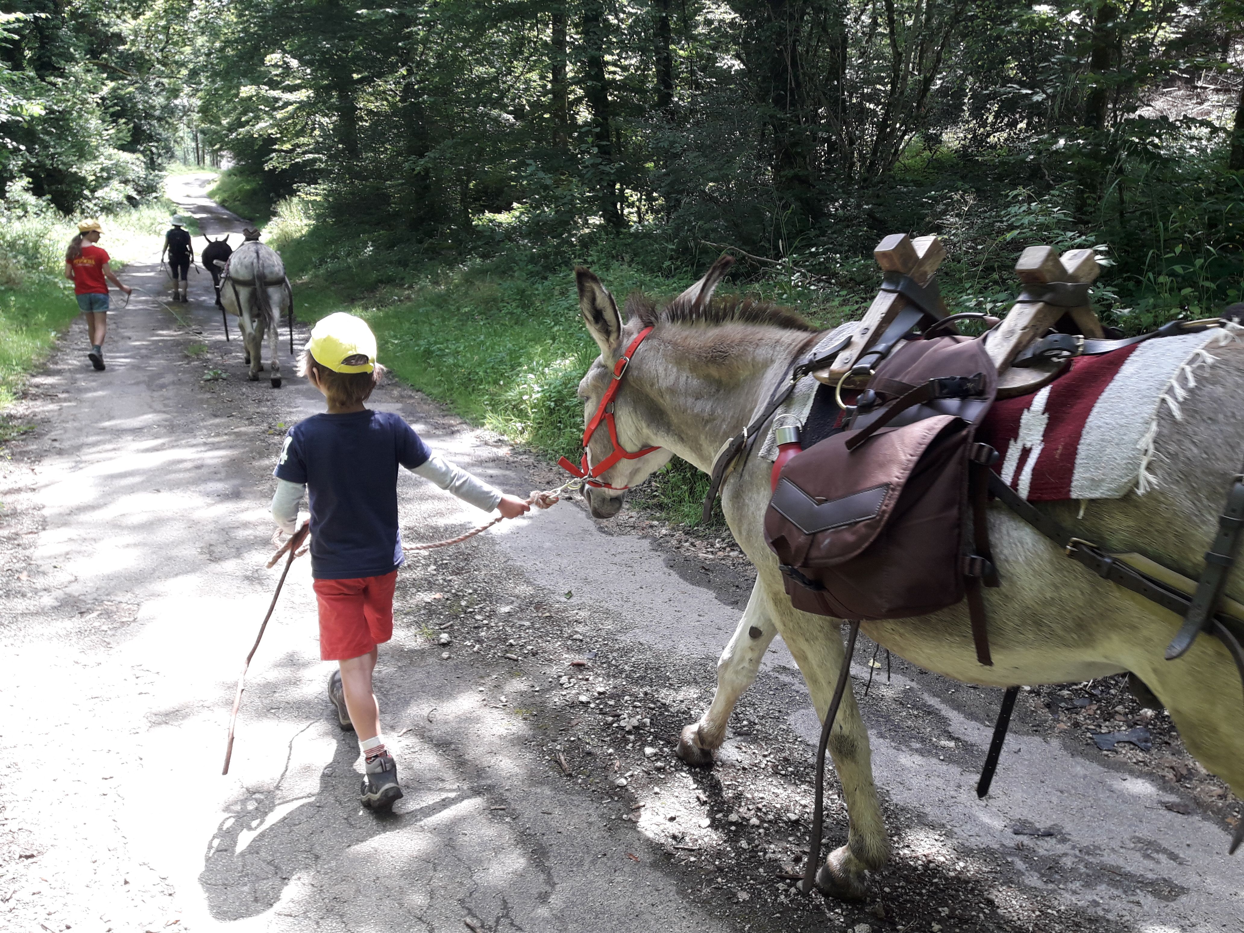 Rando Montmahoux