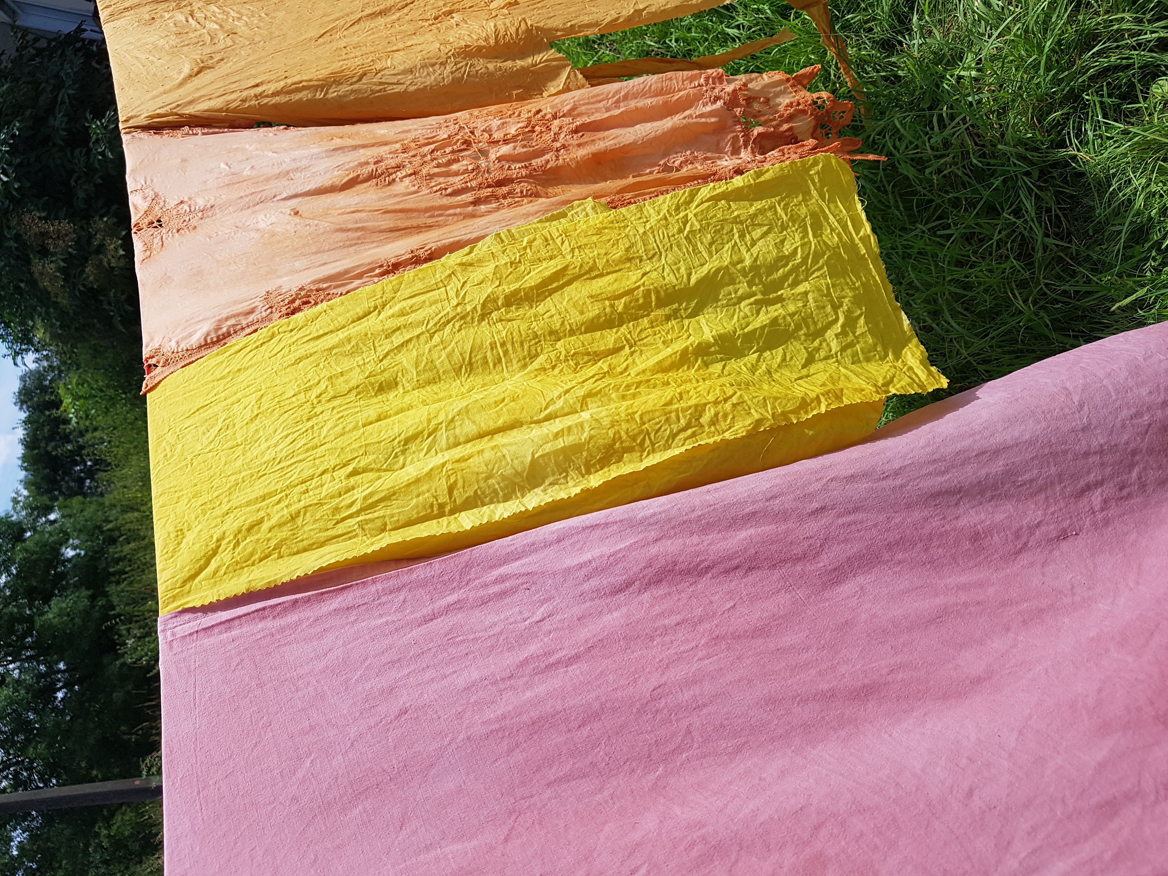 Atelier découverte de la teinture végétale