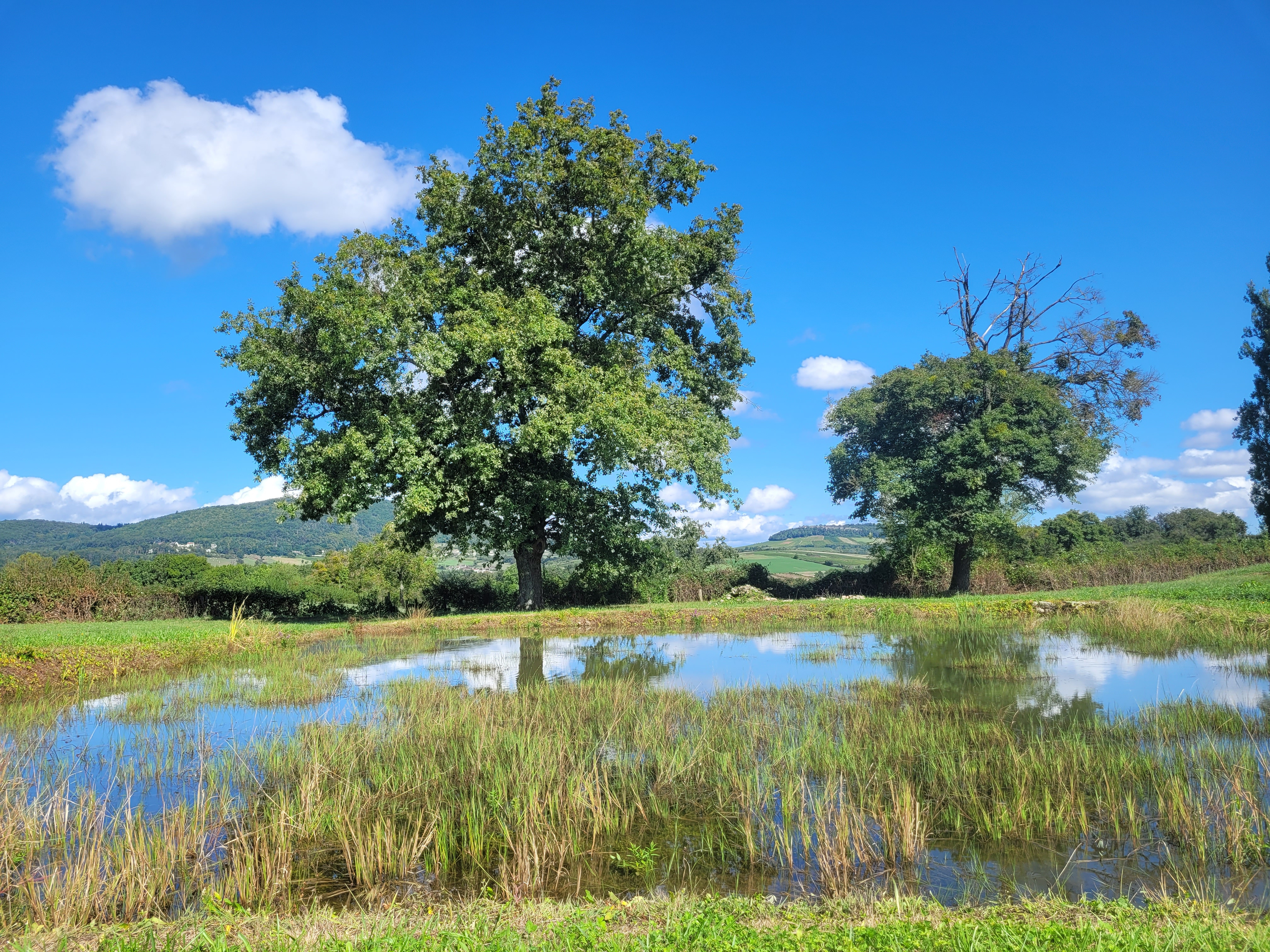 Photo paysage étang