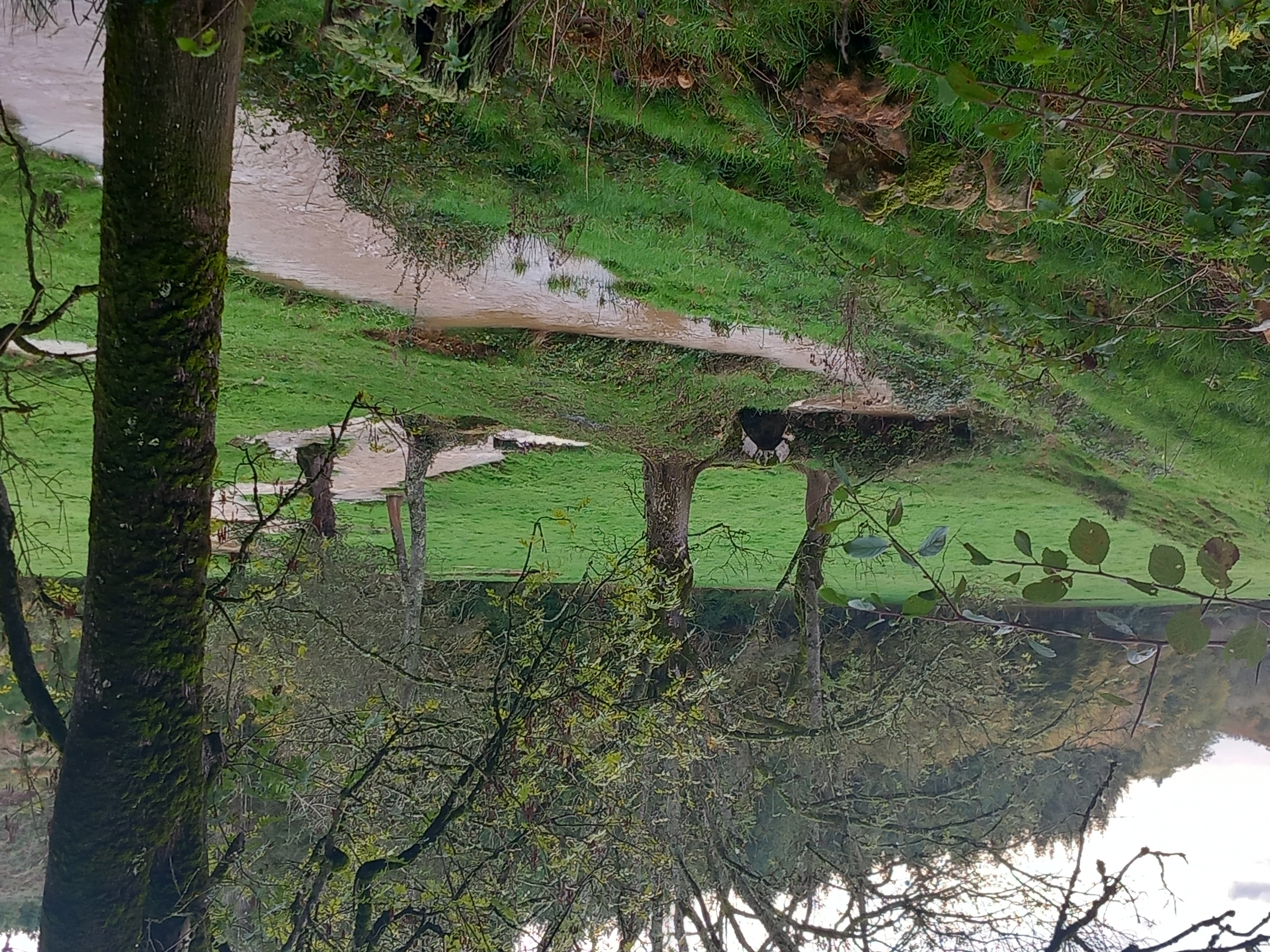 LE SAUT DU BEZO A LA MORNIERE