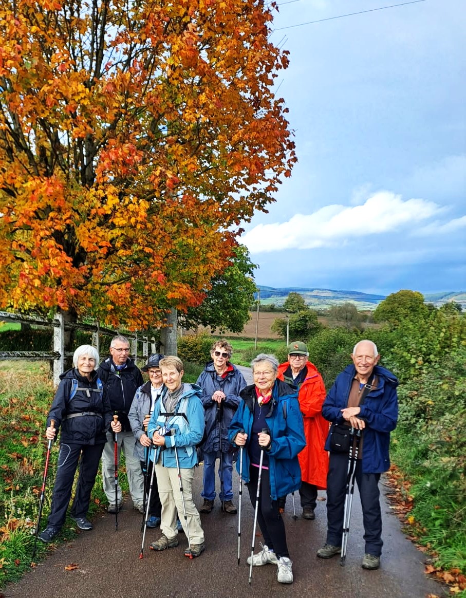 photo vouivre en chemins