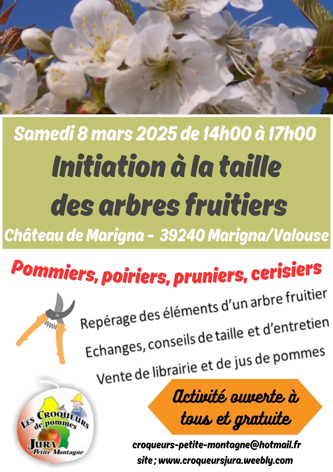 2025-0308-Initiation taille arbres fruitiers-Marigna 8 mars - 1