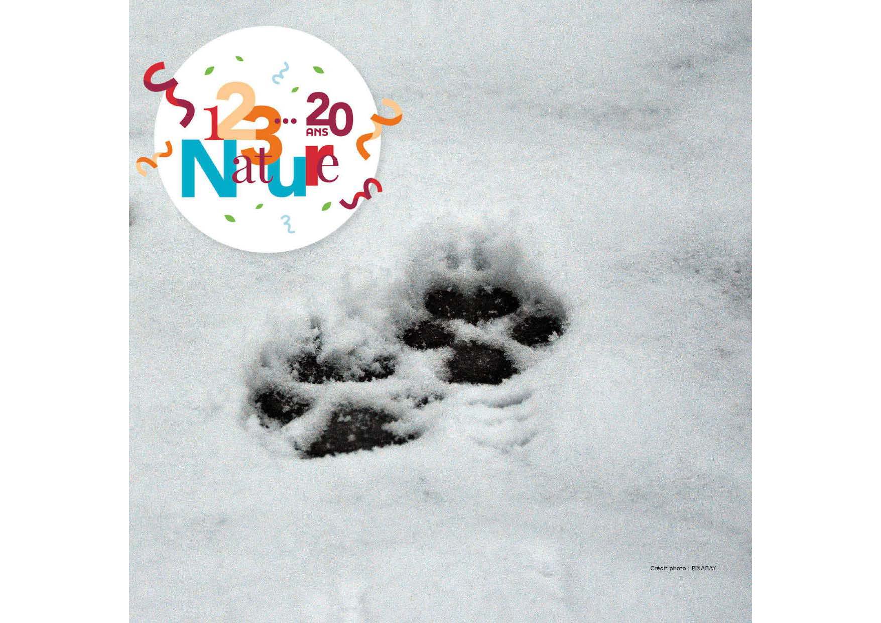 2025-04-05-traces-pixabay-artellliii72
