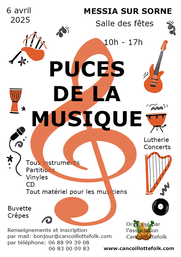 2025-04-06-puces-visuel
