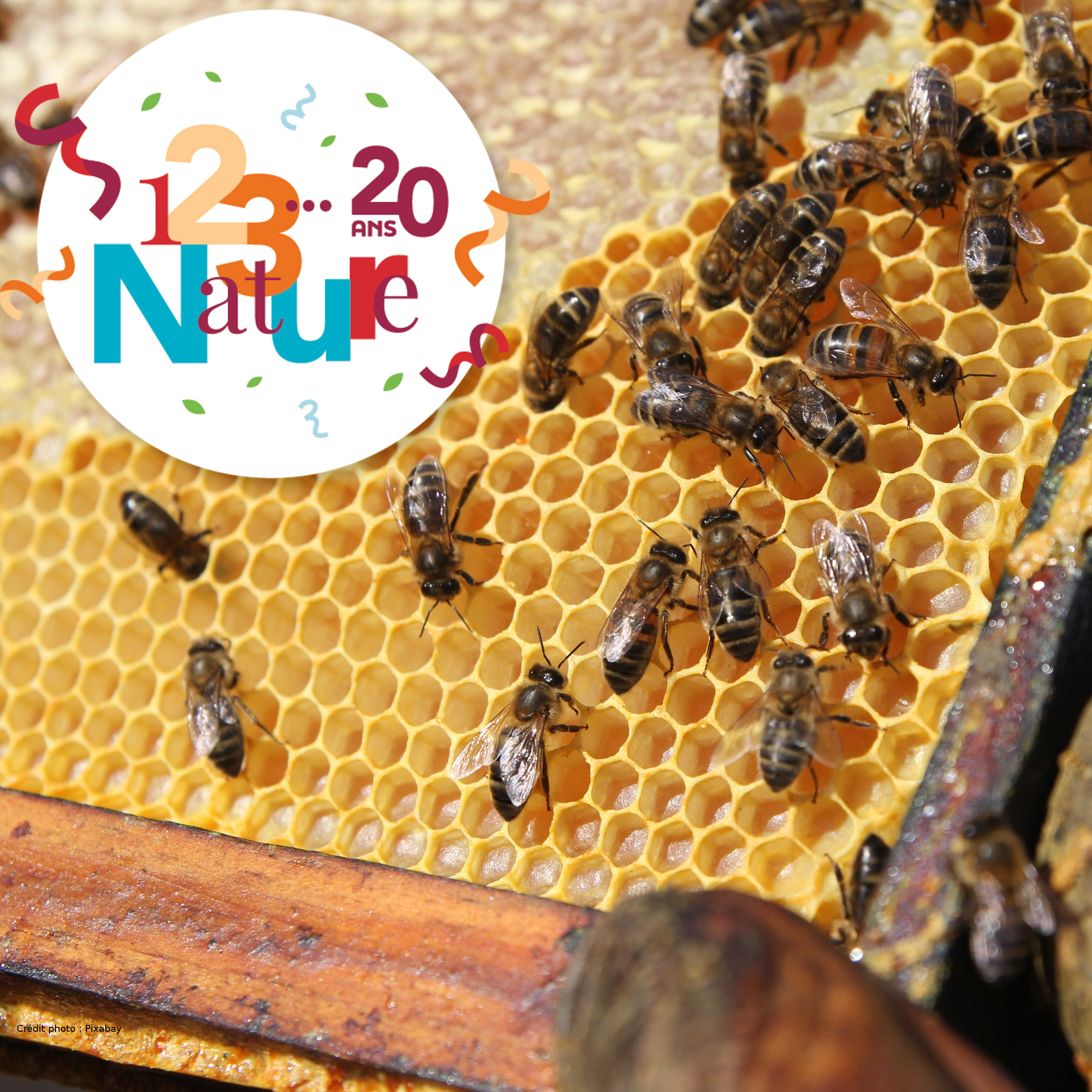 LES ABEILLES 