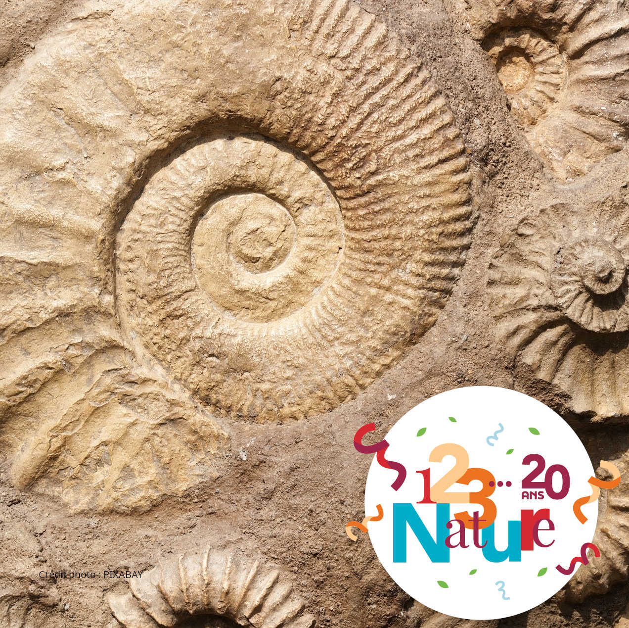 Fossile 