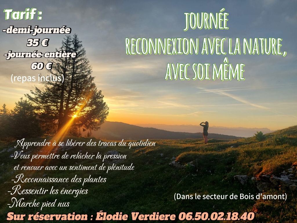Journée reconnexion avec la nature, avec soi-même