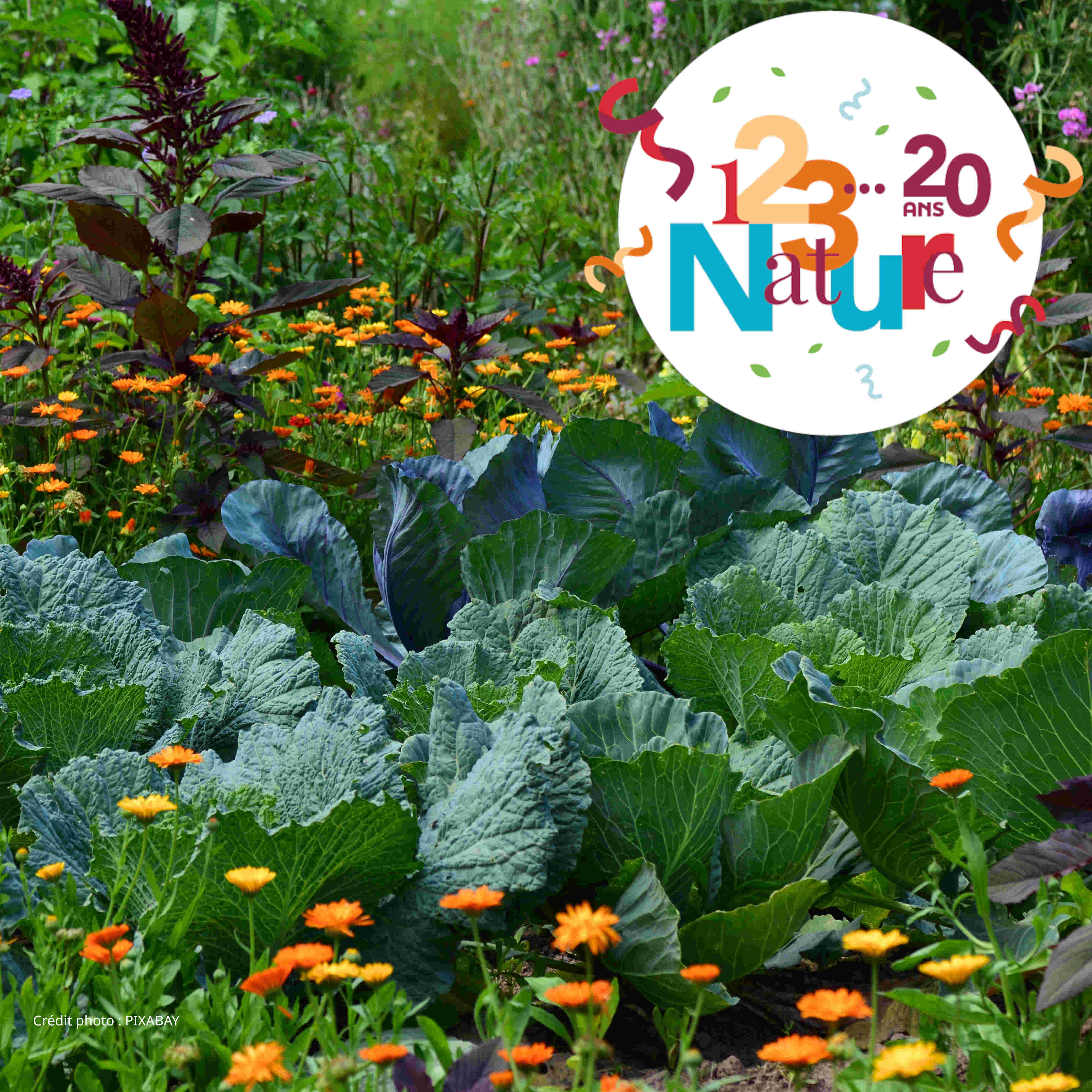 Jardin-