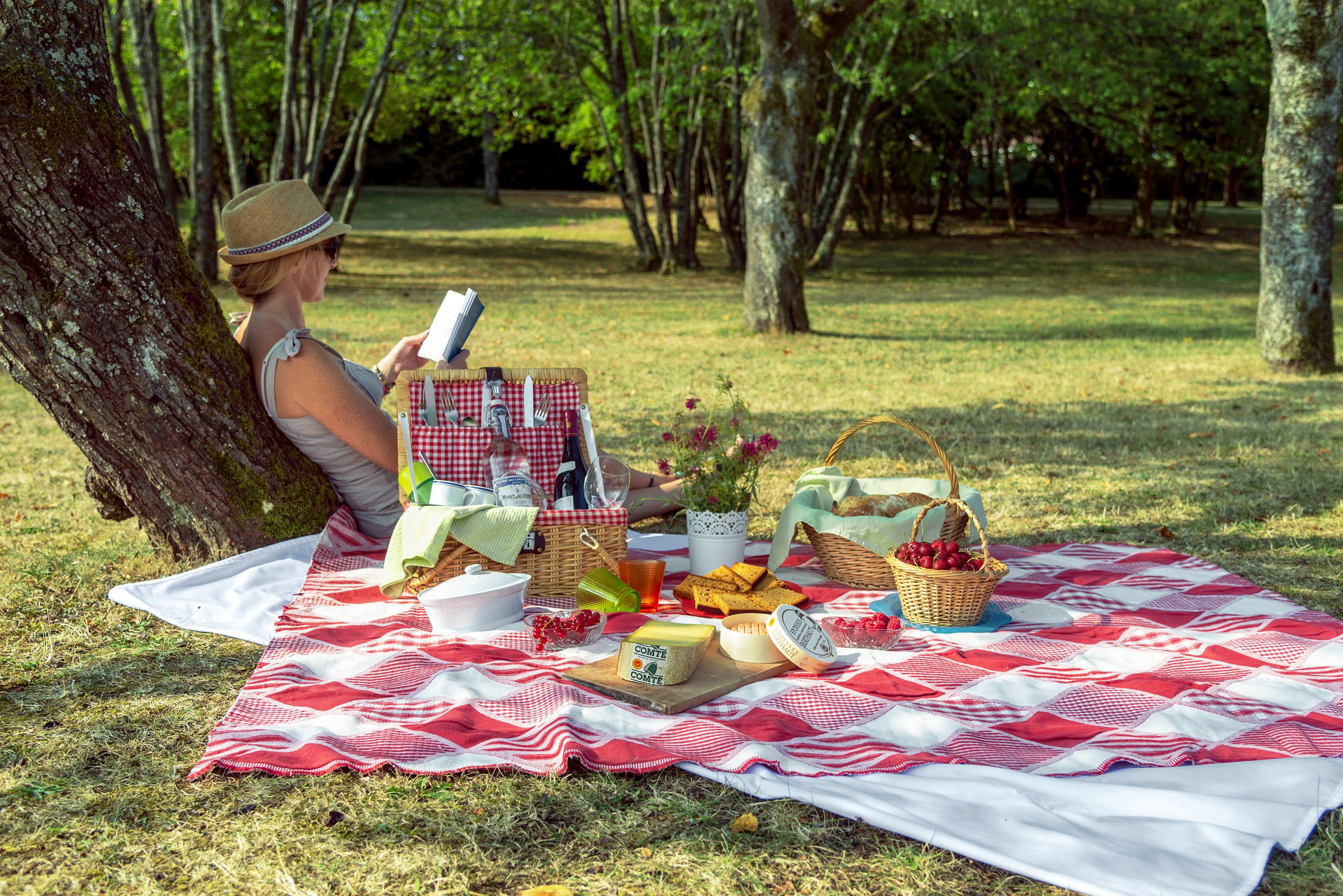Fantastic Picnic