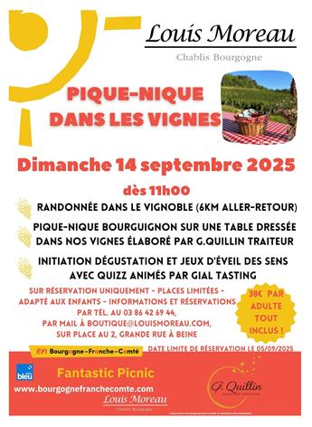 Fantastic Picnic dans les vignes avec le Domaine Louis Moreau