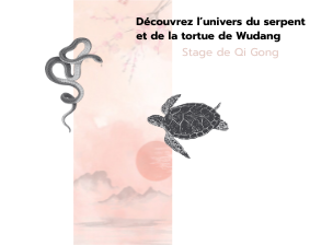 affiche-conferencetaoisme