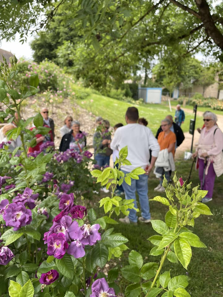 Visite du Jardin Saint Hugues
