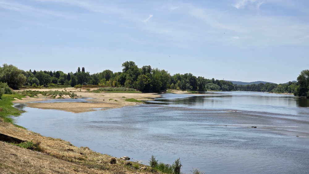 La Loire à Cosne