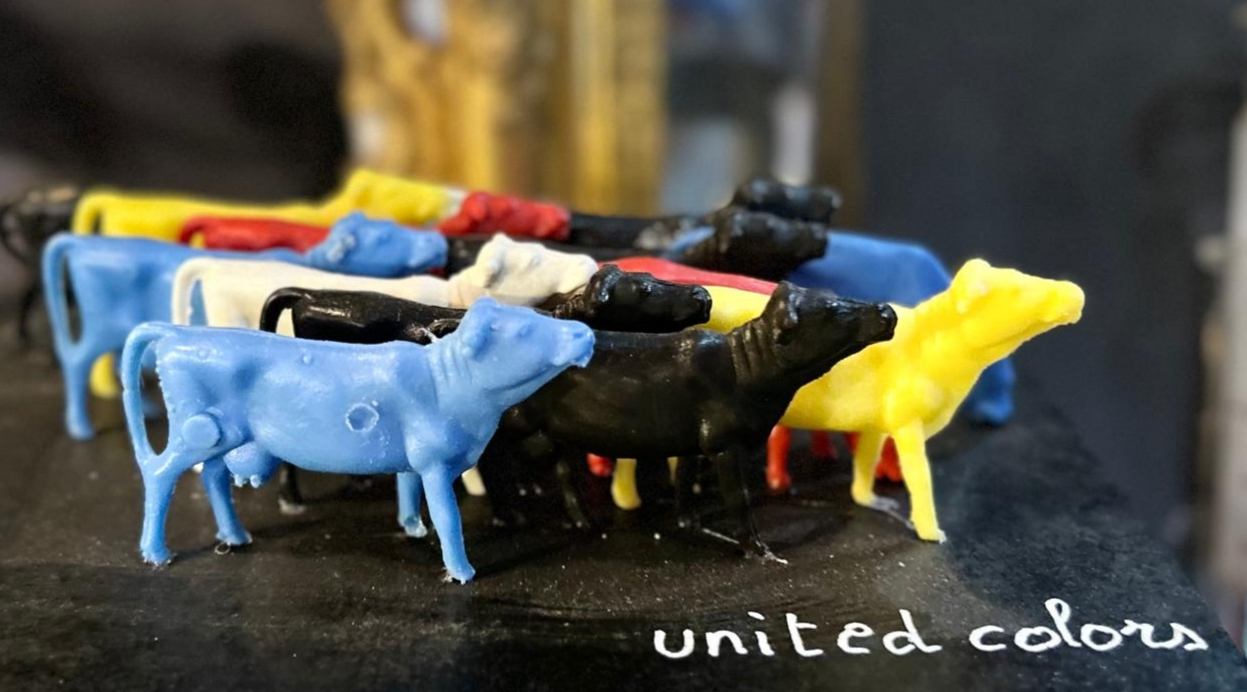 Marguerite - les petites vaches de Belin, Escolives-Sainte-Camille - photo 3