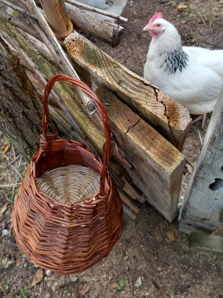 Rêveries Vannières