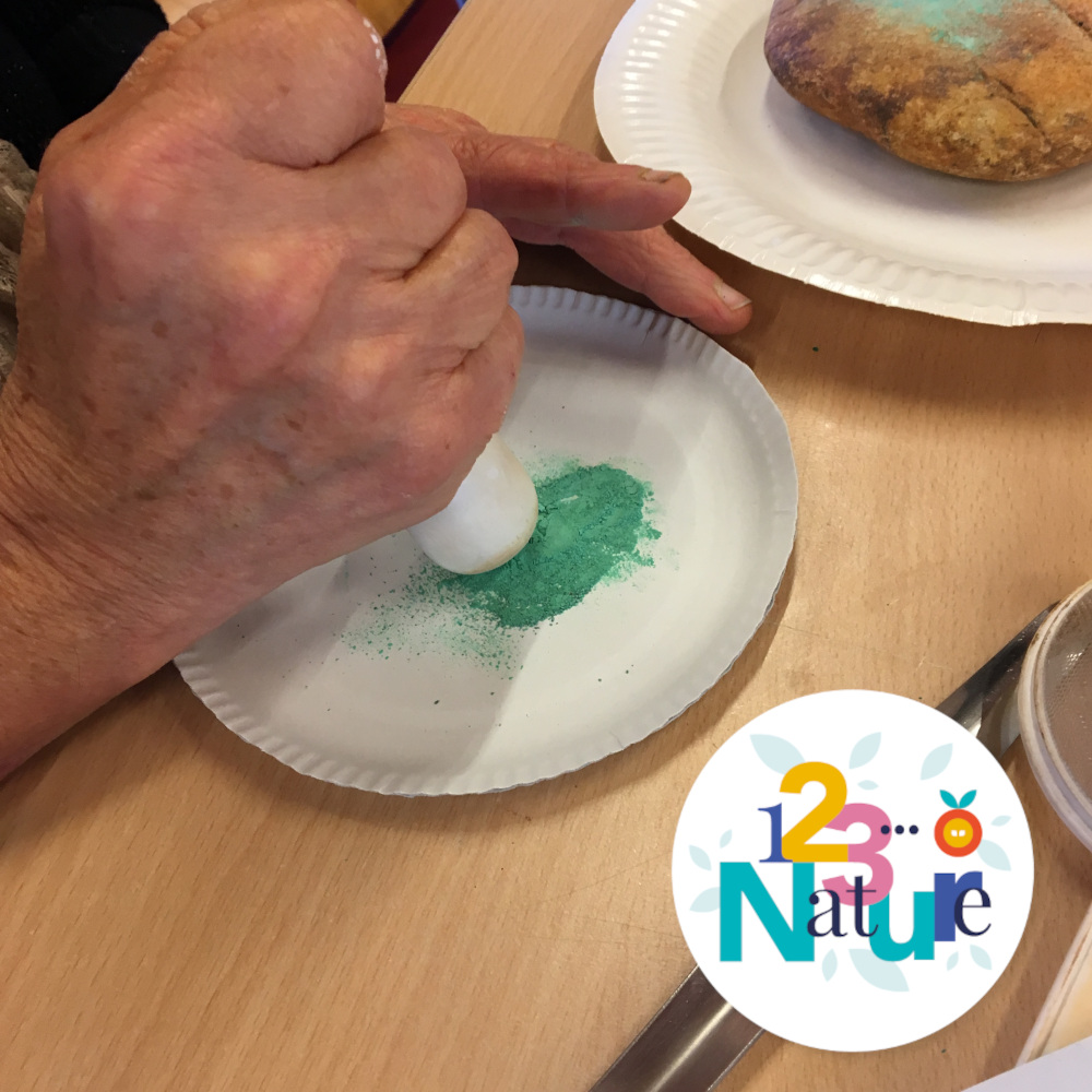 Sortie123Nature : L'atelier de la couleur