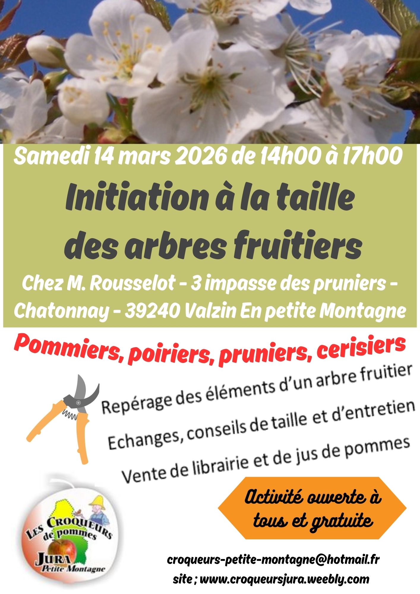 Initiation à la taille des arbres fruitiers