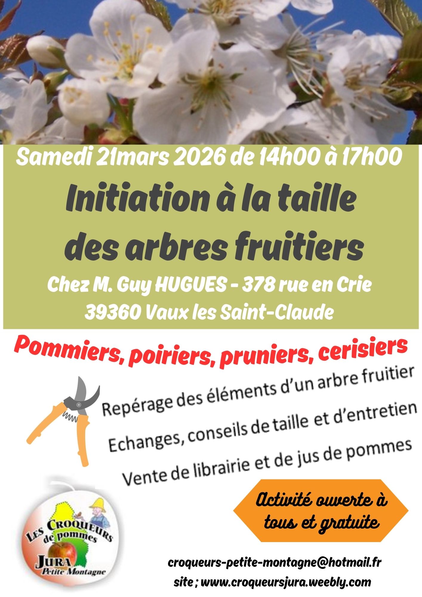 Initiation à la taille des arbres fruitiers
