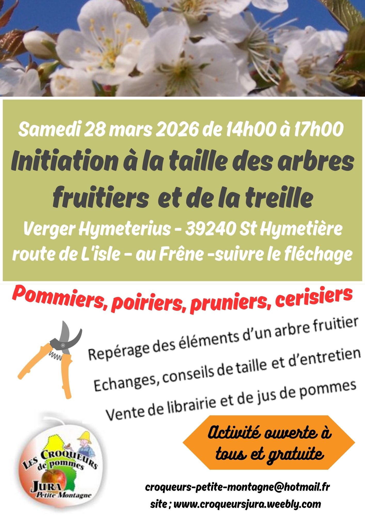 Initiation à la taille des arbres fruitiers