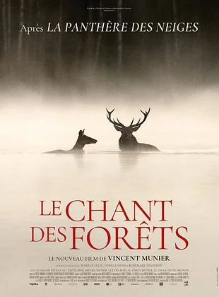 Ciné-Enfants - «Le chant des forêts» de Vincent Munier