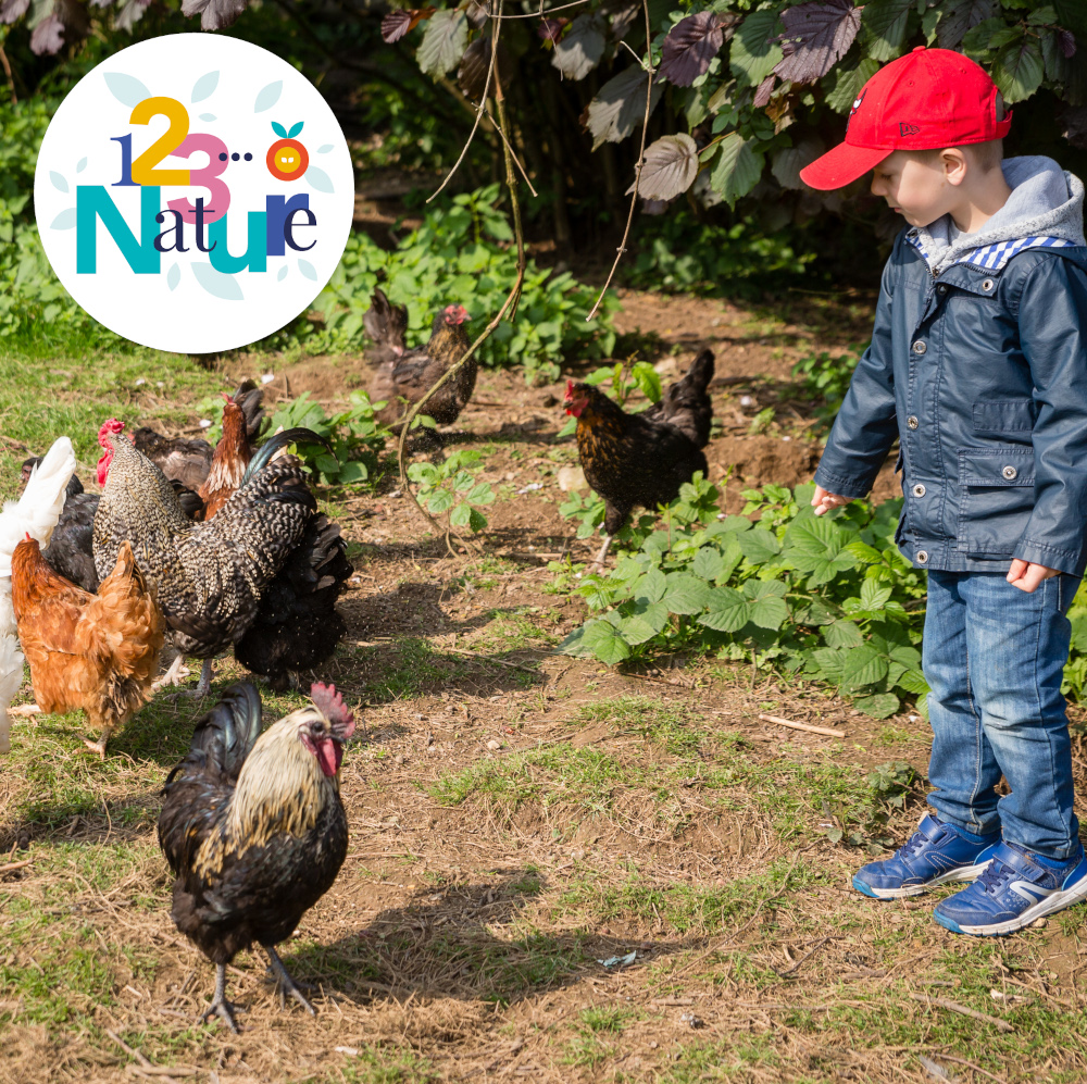Sortie 123Nature : balade a la ferme