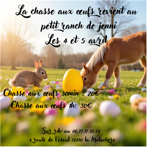 Chasse aux œufs