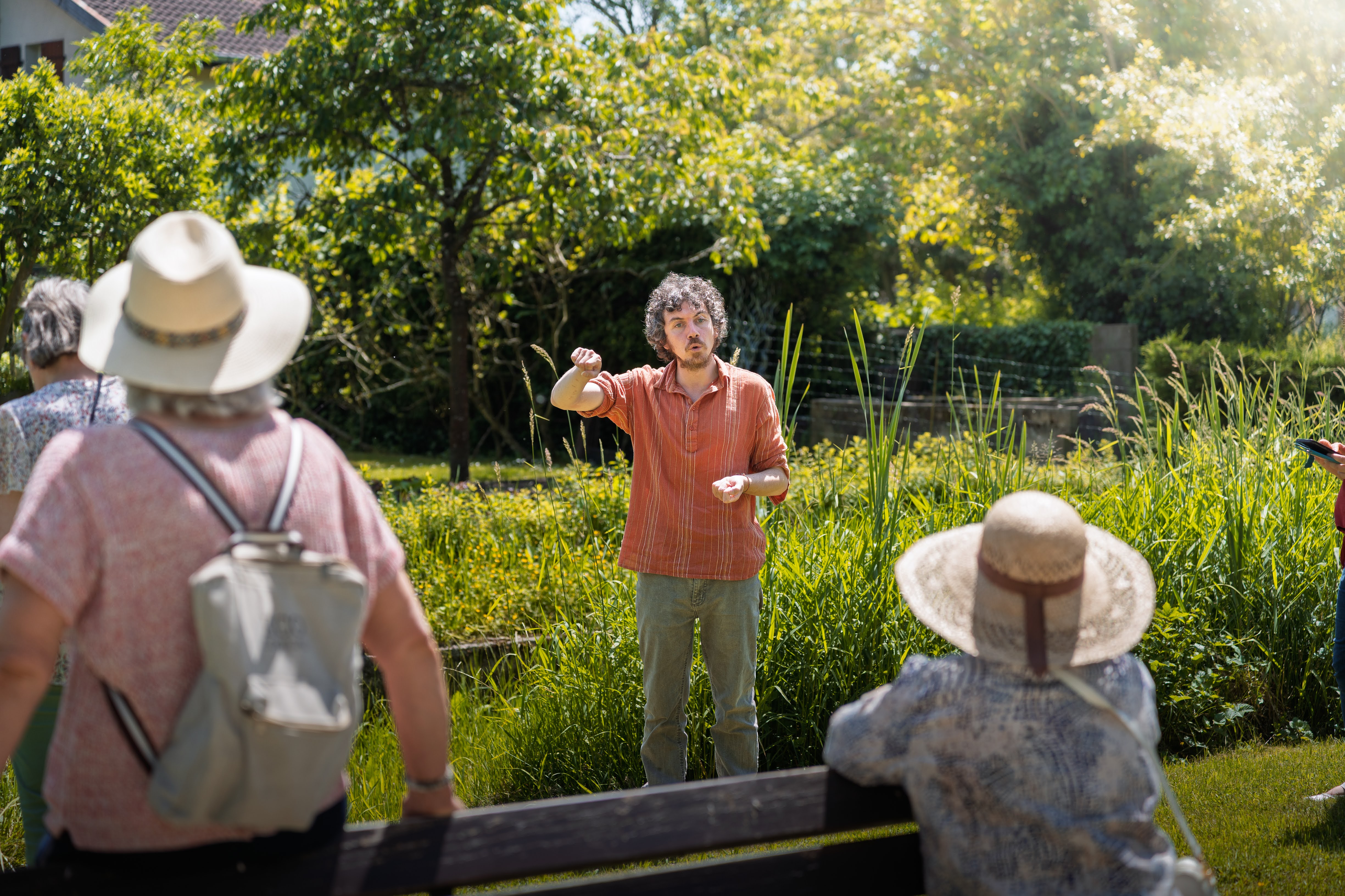 Balade historique et botanique au fil du sentier des Essarts