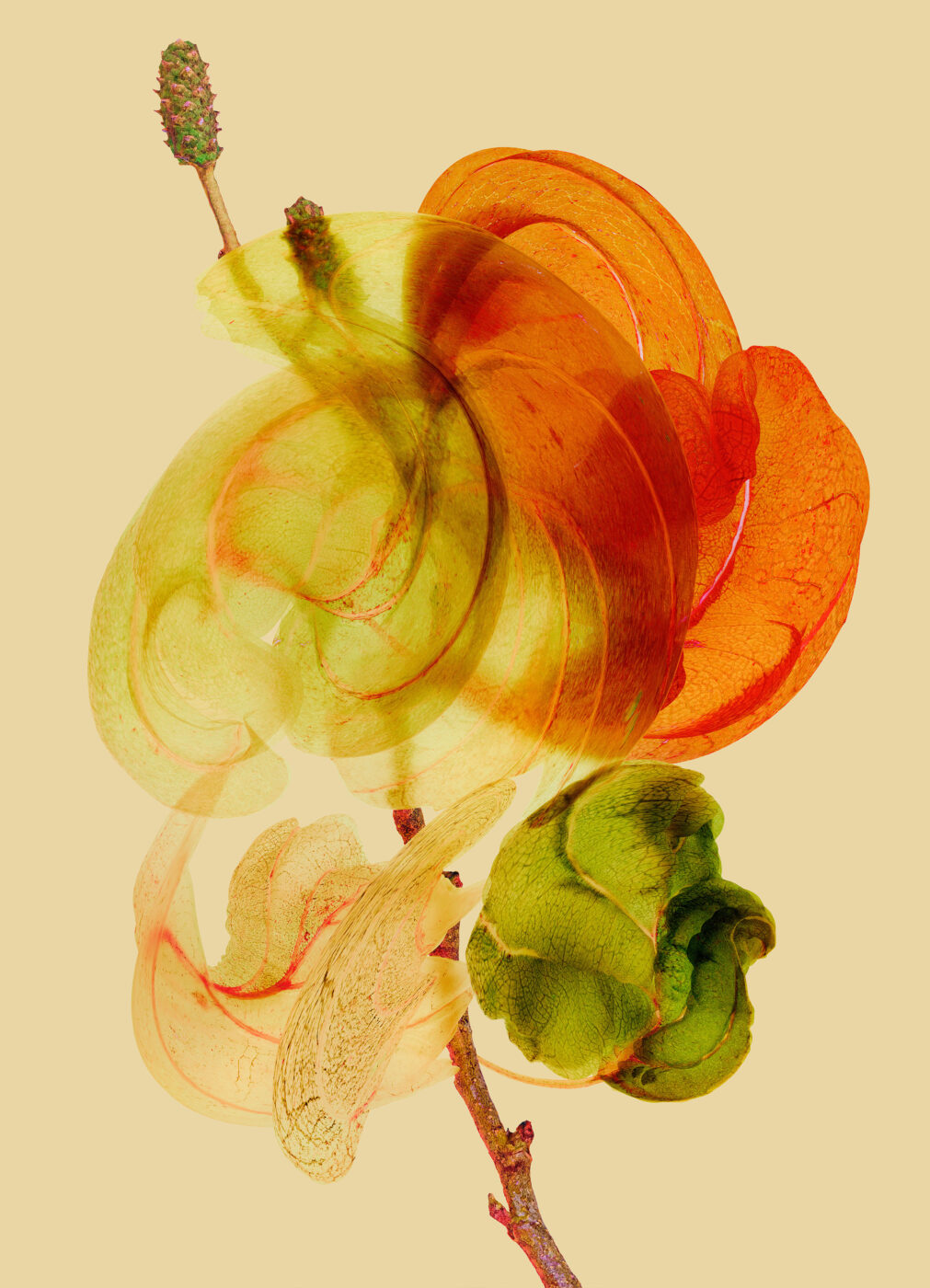 Atelier créatif en famille C'est chou