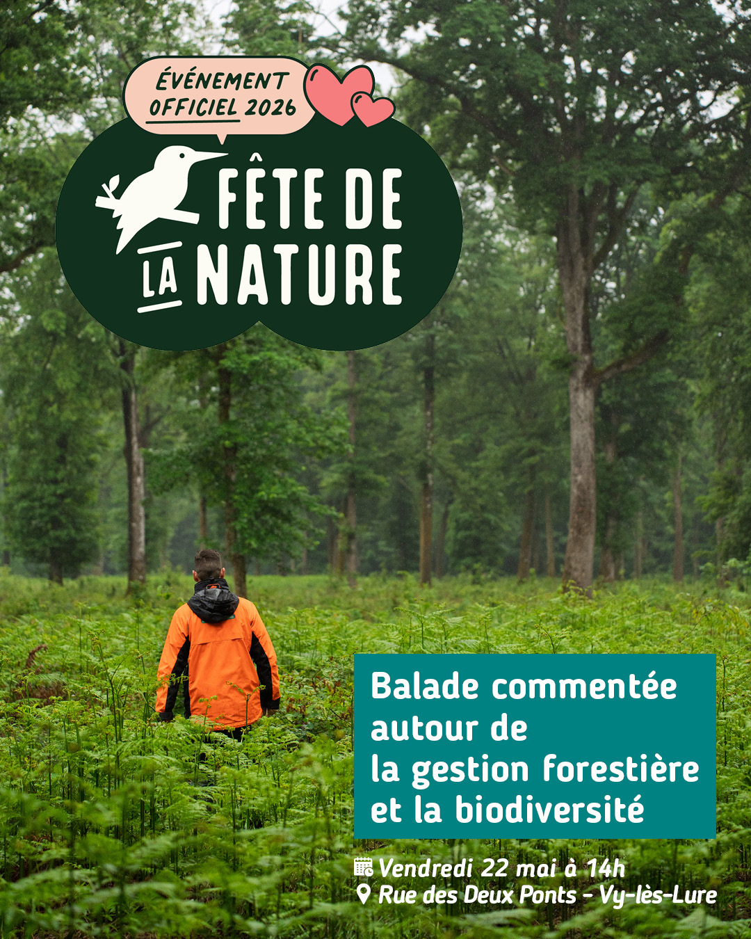 La Fête de la Nature ! - Balade commentée autour de la gestion forestière et de la biodiversité