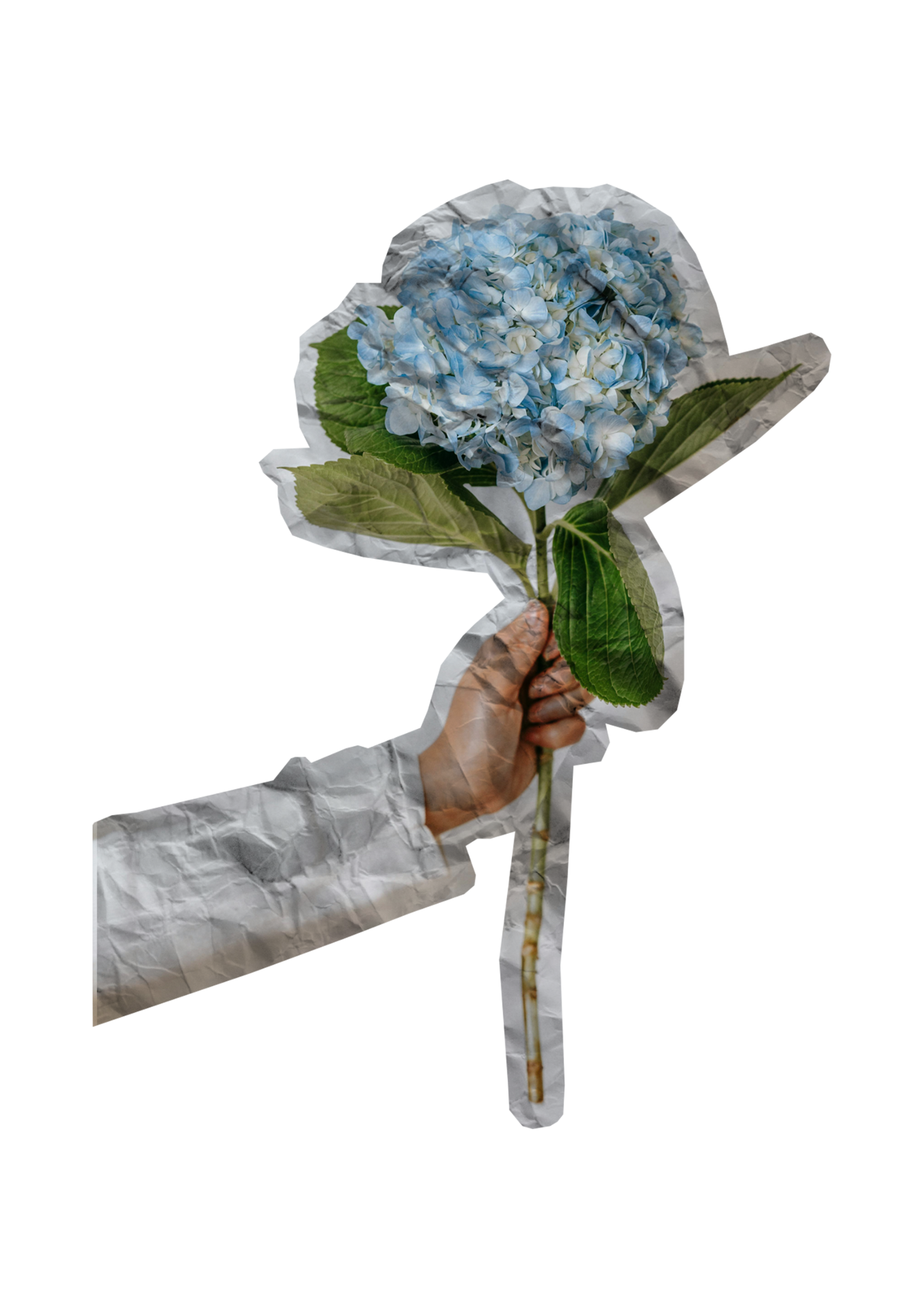 Atelier créatif en famille Faites vous une fleur