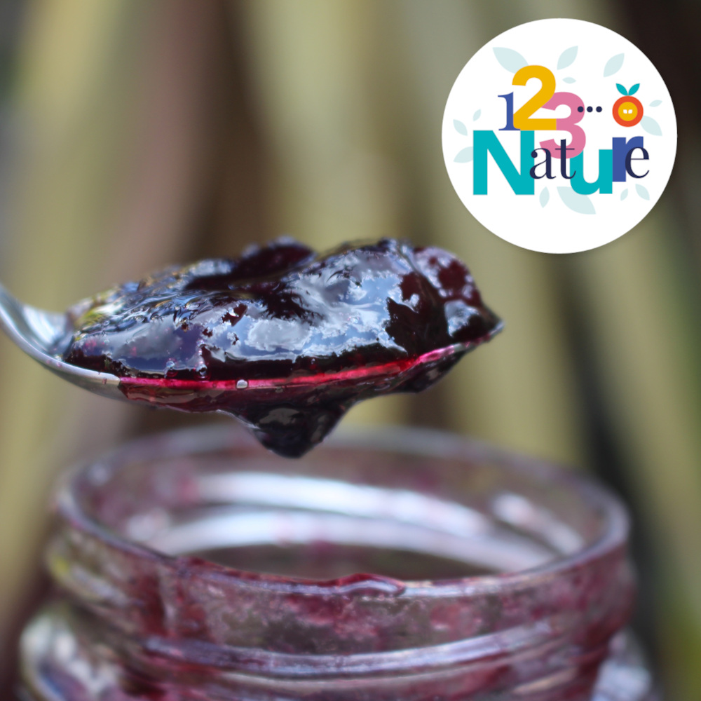 Sortie 123Nature : Réussir ses gelées