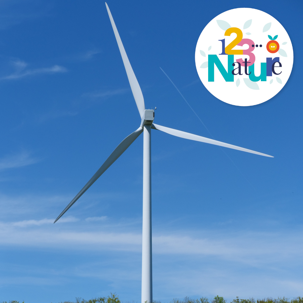 COMPLET Sortie 123Nature : Le parc éolien des Trois Cantons