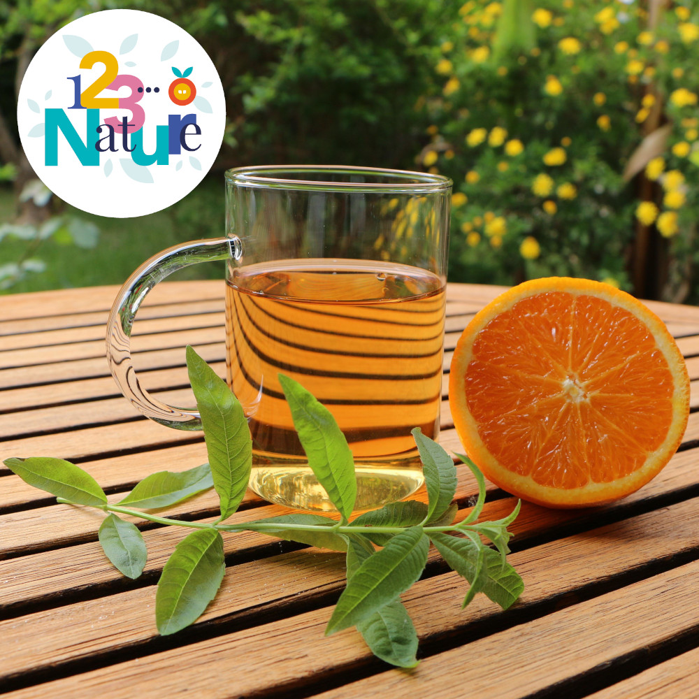 COMPLET Sortie 123Nature : Visite et Atelier Tisane « low-tech »