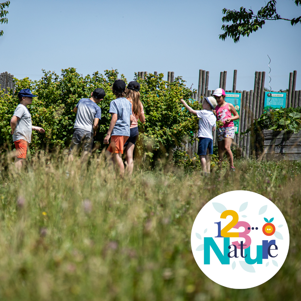 SORTIE 123Nature : Les p'tits dans la nature