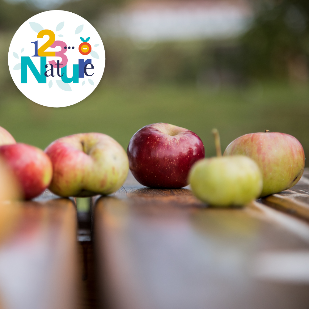 SORTIE 123Nature : Tutti Frutti