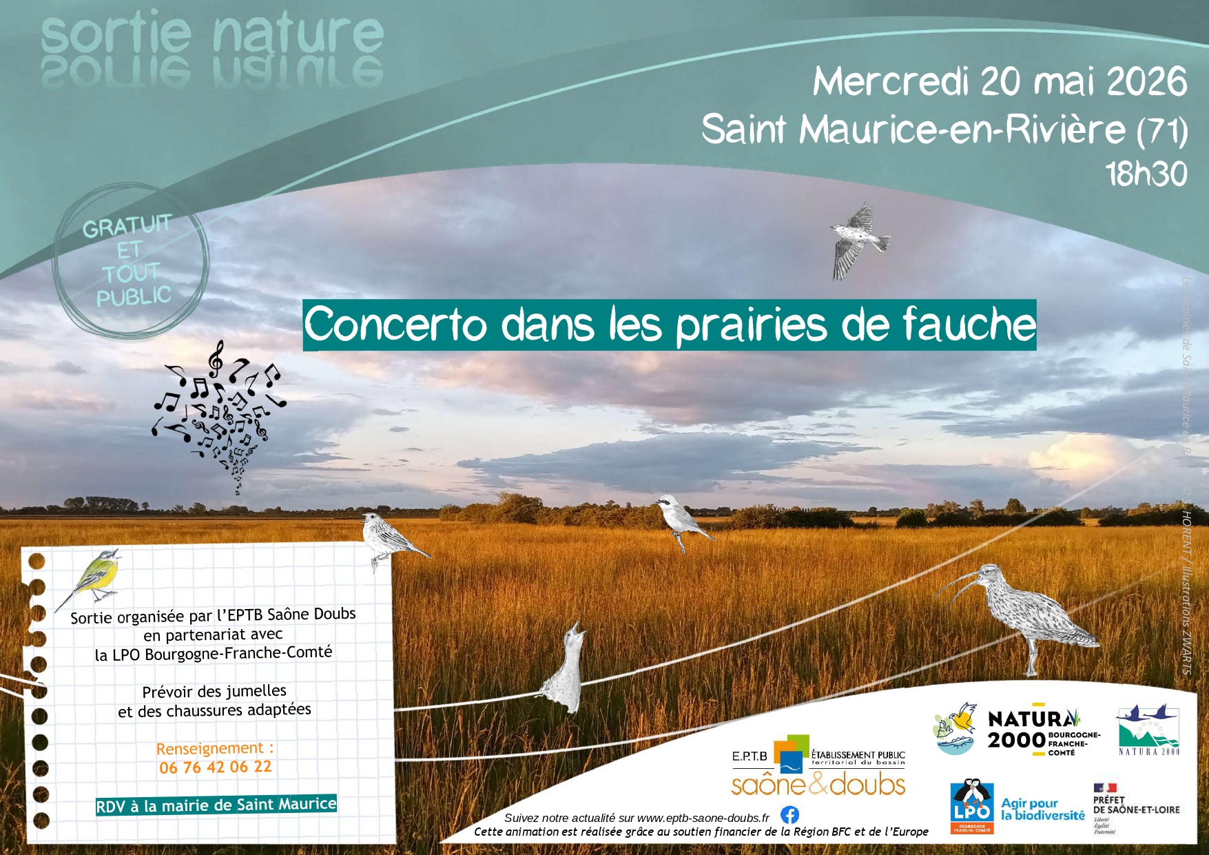 Concerto dans les prairies de fauche