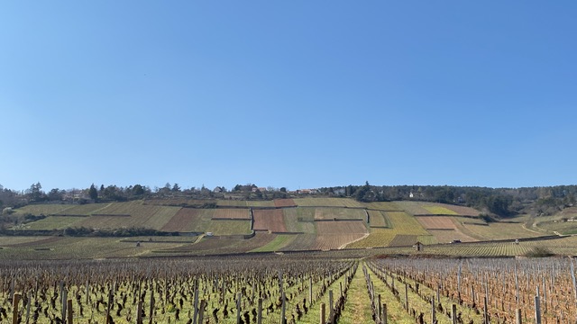 Vignoble de Beaune  