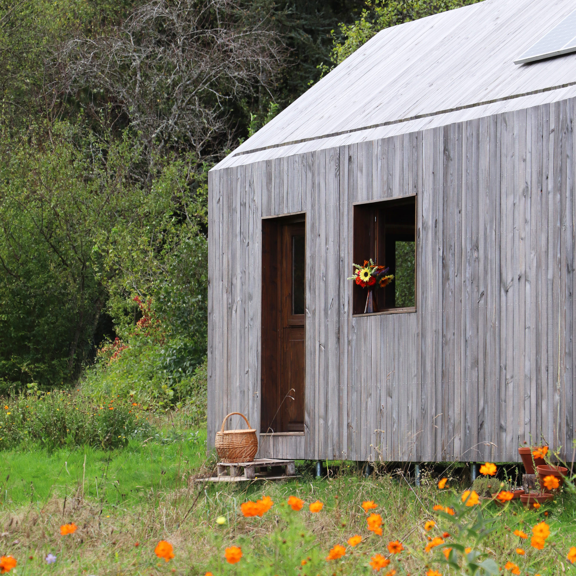 La Cabane aux Herbes