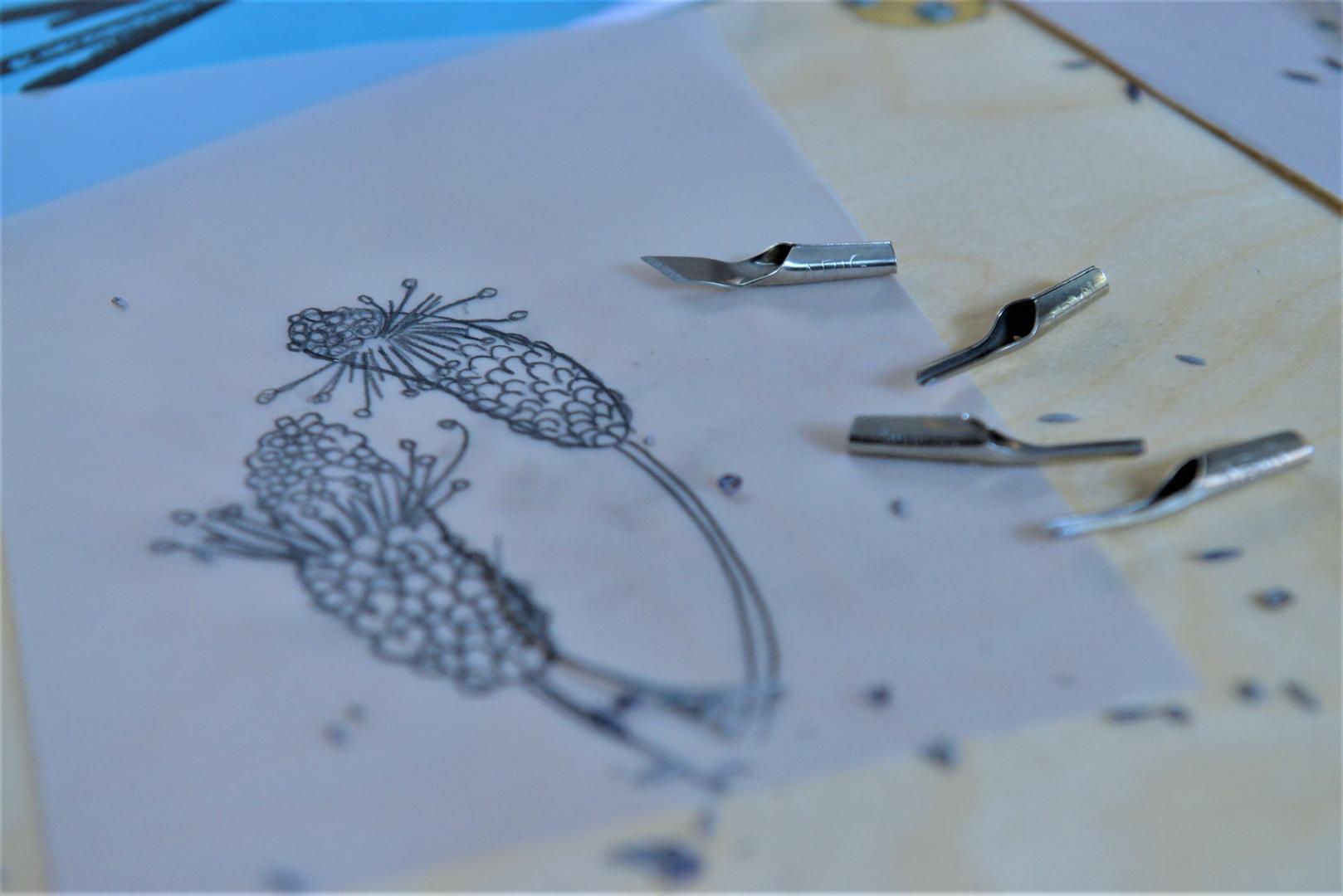 22_linogravure_linonature