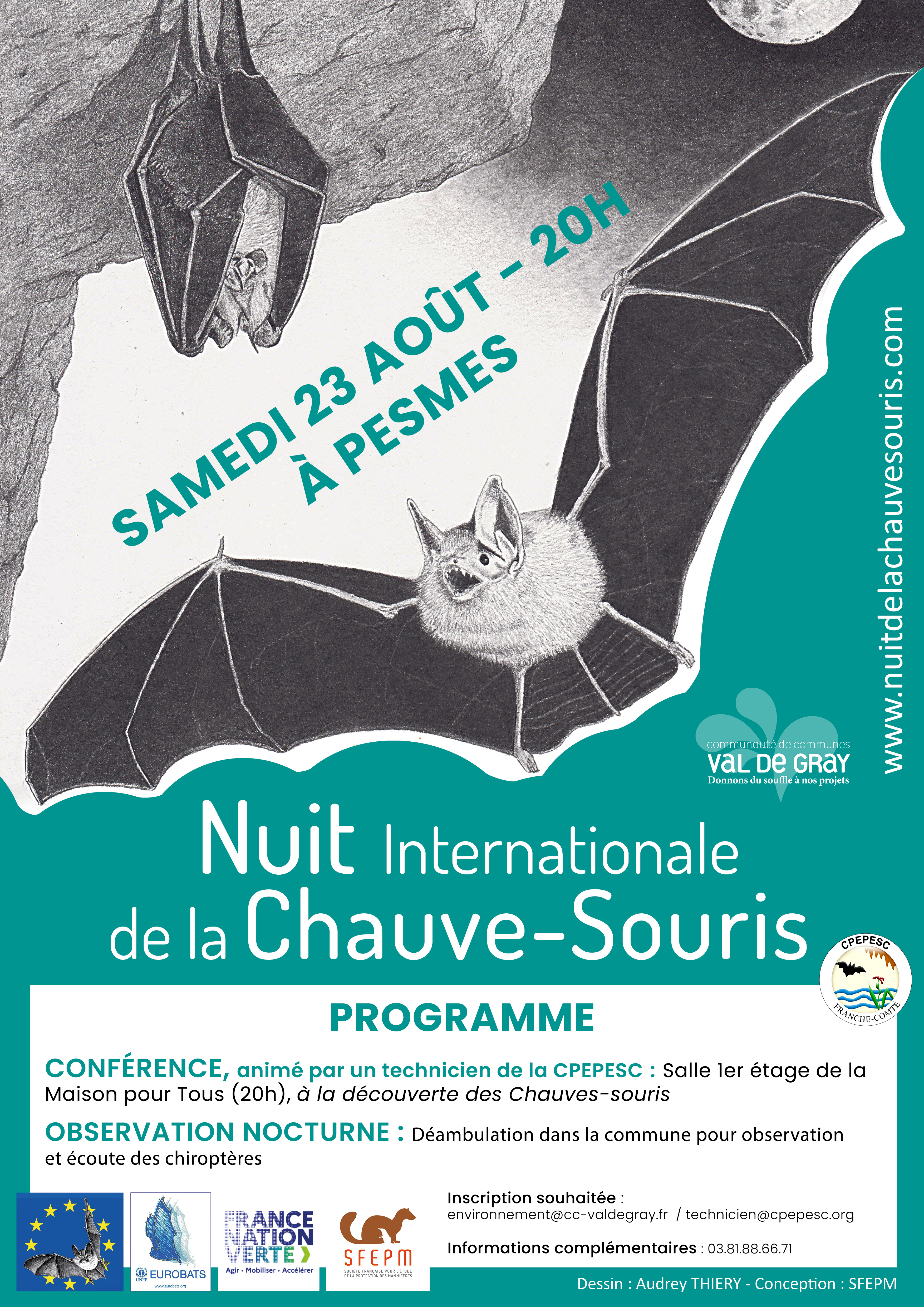 Nuit internationale de la Chauve Souris