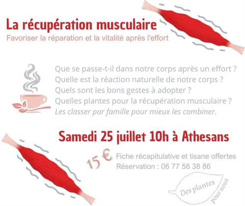 La r&eacute;cup&eacute;ration musculaire 