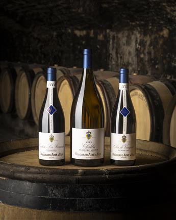 Bouchard Ainé & Fils - Dégustation spéciale Vente des Vins 2025 (9 vins dont 3 Grands Crus)