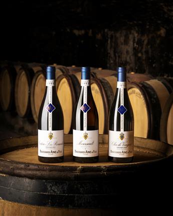 Bouchard Ainé & Fils - Visite des caves & dégustation spéciale Vente des Vins 2025 (9 vins dont 3 Grands Crus) - Beaune