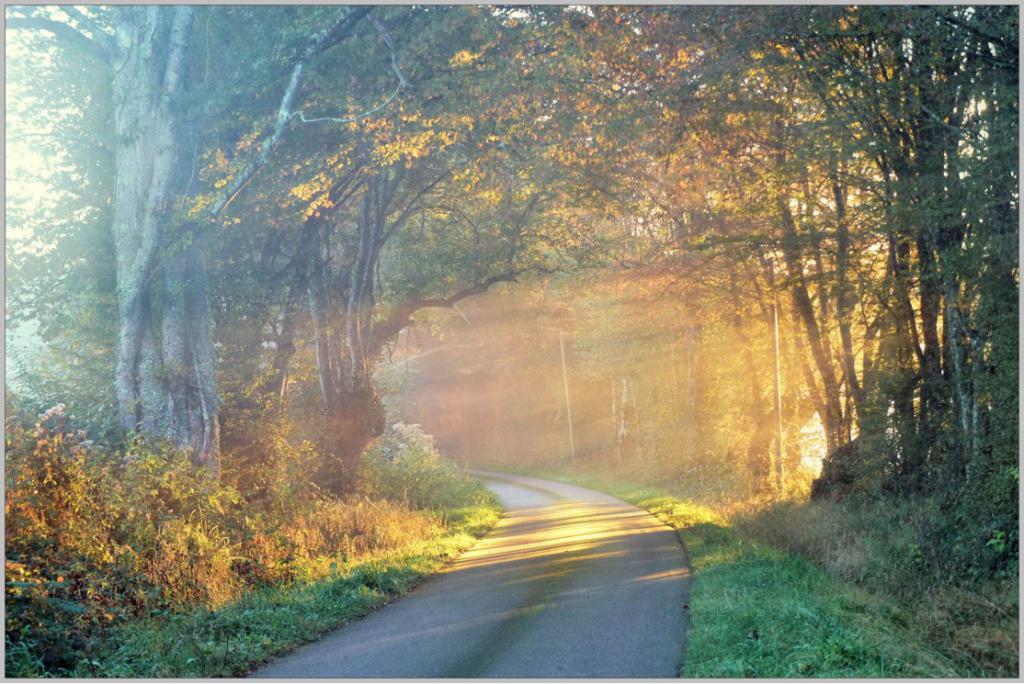 DÉCOUVRIR LA FAUNE ET LA FLORE DE PUISAYE AVEC COLETTE