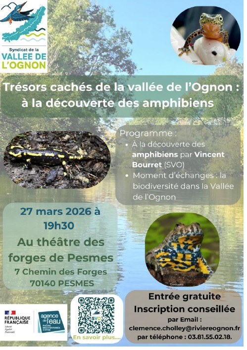 Trésors cachés de la Vallée de l'Ognon : à la découverte des amphibiens 