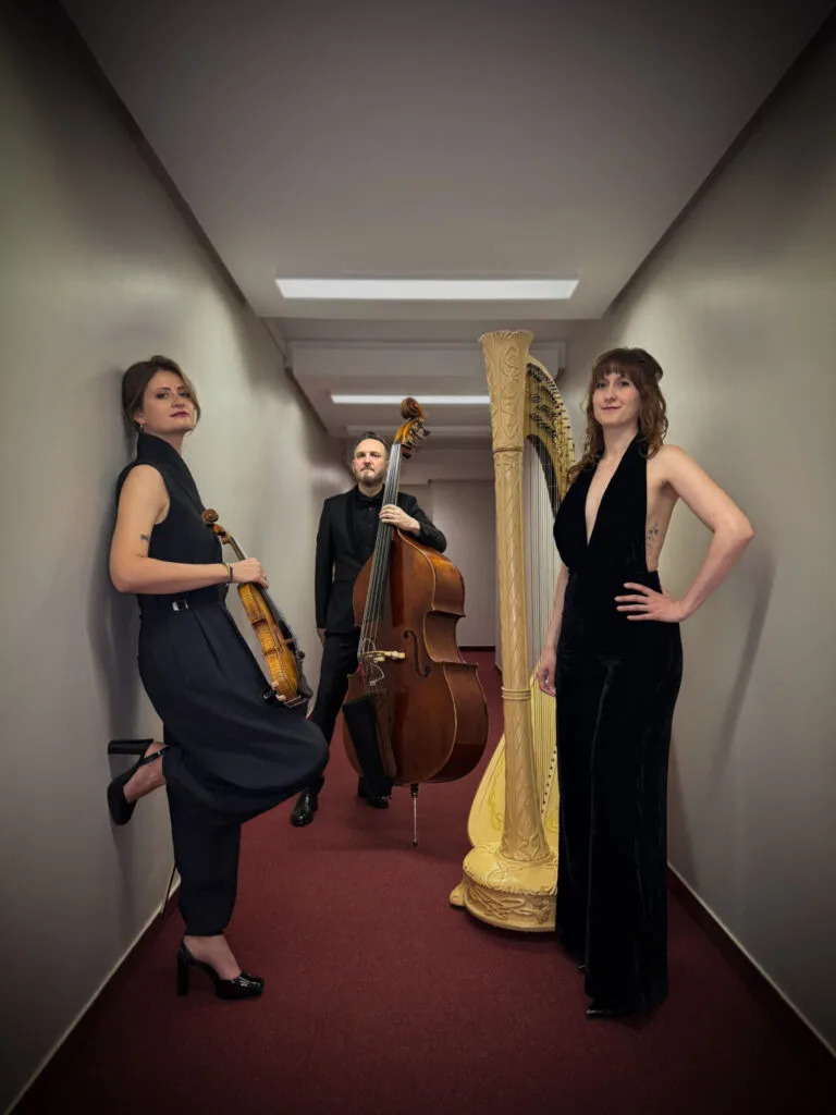 Live Strings Paris