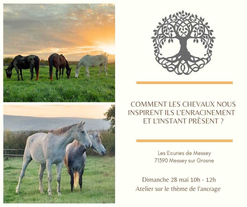LES CHEVAUX NOUS INSPIRENT L'ENRACINEMENT ET L'INSTANT PRÉSEN