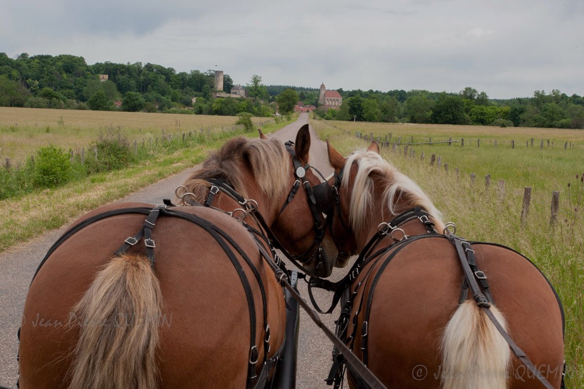Raclette en calèche, Chantes