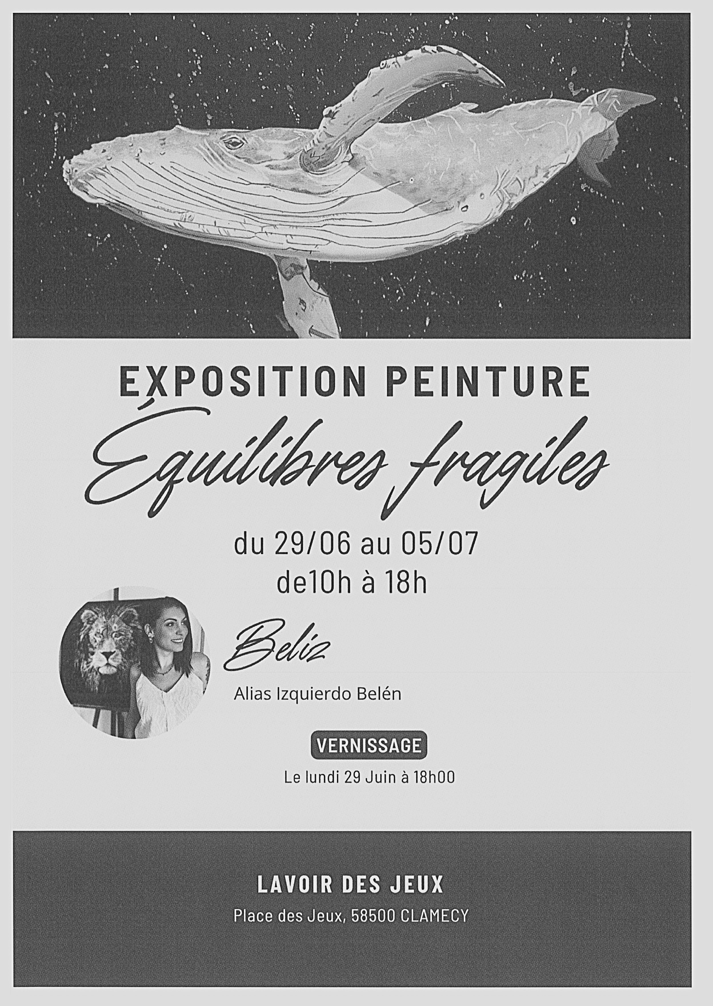 Exposition Equilibres Fragiles