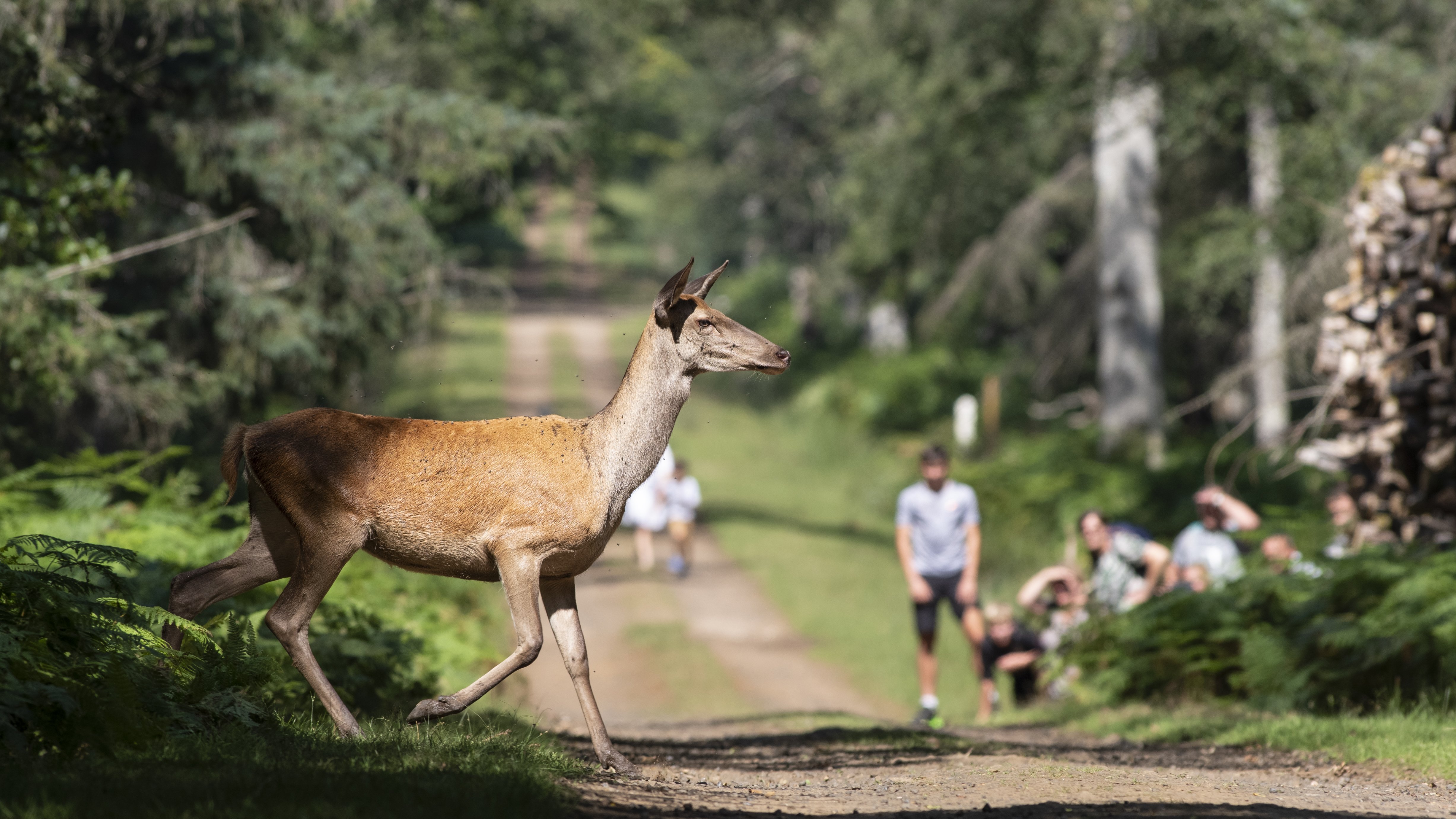 Parc Naturel de Boutissaint - Crédits : Jean-Luc_BOULARD